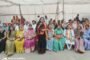 डॉक्टरेट की मानद उपाधि मिलने पर वरिष्ठ पत्रकार उपेन्द्र तिवारी को सांसद एवं नेता प्रतिपक्ष ने किया सम्मान