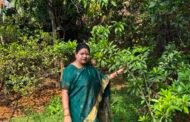 🌱 विश्व पर्यावरण दिवस की समस्त प्रदेशवासियों को हार्दिक शुभकामनाएँ। 🌱