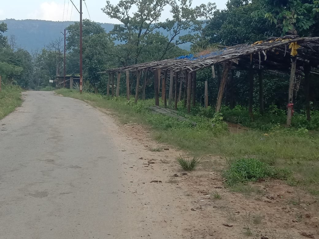 चैतुरगढ़ पर्यटन मार्ग का व्यावसायिक महत्व बढ़ते ही वन भूमि पर 